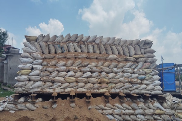 Pile Load Test